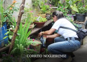 novo-mutirao-contra-a-dengue-sera-realizado-neste-sabado-em-artur-nogueira-correio-nogueirense