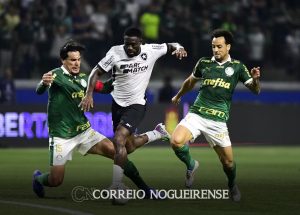 palmeiras-e-botafogo-jogam-por-lideranca-do-campeonato-brasileiro-correio-nogueirense
