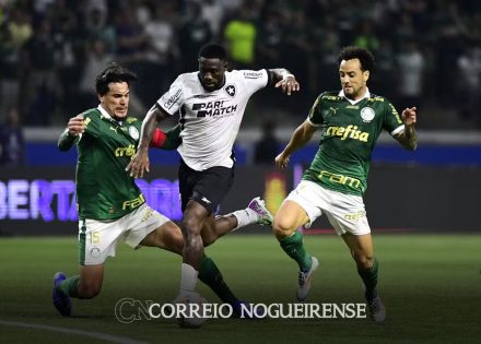 palmeiras-e-botafogo-jogam-por-lideranca-do-campeonato-brasileiro-correio-nogueirense