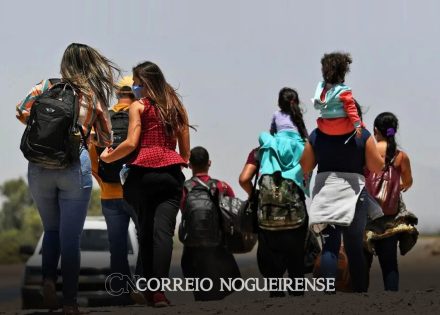 total-de-brasileiros-detidos-na-fronteira-dos-eua-cai-20-correio-nogueirense