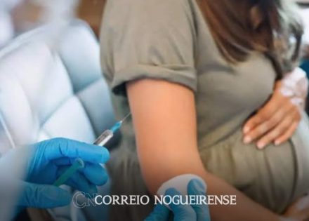 Sem nome (1140 x 815 px)_20241204_091826_0000