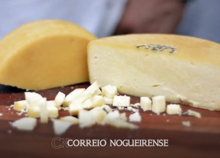 Sem nome (1140 x 815 px)_20241205_101148_0000