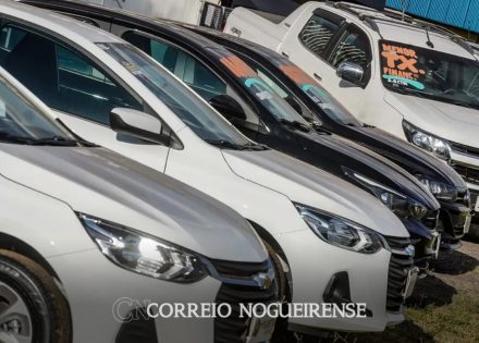 Sem nome (1140 x 815 px)_20241211_101233_0000