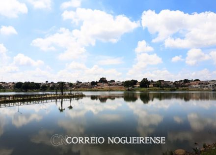 Sem nome (1140 x 815 px)_20241221_114943_0000