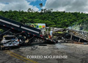 Sem nome (1140 x 815 px)_20241221_124840_0000