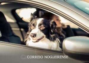 Sem nome (1140 x 815 px)_20241228_155455_0000