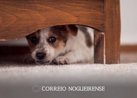 Sem nome (1140 x 815 px)_20241231_182848_0000