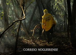 amazonia-tem-o-maior-numero-de-queimadas-e-incendios-em-17-anos-correio-nogueirense