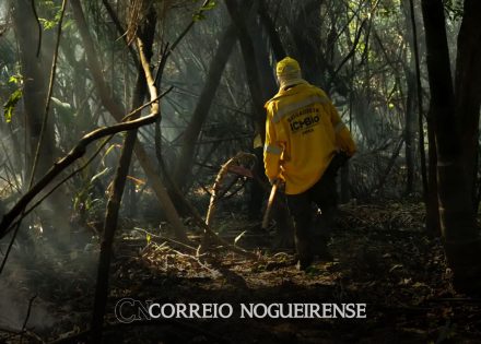 amazonia-tem-o-maior-numero-de-queimadas-e-incendios-em-17-anos-correio-nogueirense