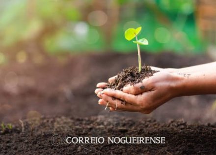 Sem nome (1140 x 815 px)_20250115_145414_0000