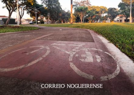 Sem nome (1140 x 815 px)_20250119_133124_0000