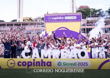 Sem nome (1140 x 815 px)_20250125_144656_0000