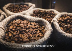 Sem nome (1140 x 815 px)_20250129_095150_0000