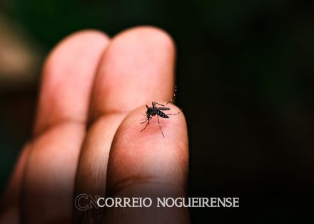 dengue-chegada-do-mosquito-a-novas-regioes-e-circulacao-de-sorotipos-3-e-4-mantem-alerta-informa-butantan-correio-nogueirense