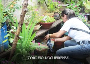 mutirao-de-combate-ao-mosquito-transmissor-da-dengue-percorre-4-bairros-neste-sabado-em-artur-nogueira-correio-nogueirense