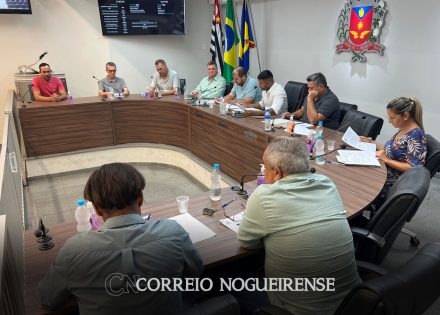 vereadores-aprovam-reajuste-salarial-para-funcionarios-publicos-correio-nogueirense