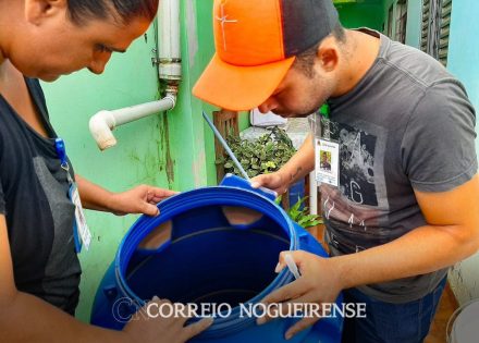 Sem nome (1140 x 815 px)_20250207_134336_0000