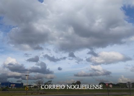 Sem nome (1140 x 815 px)_20250217_092320_0000