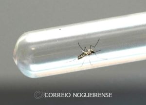 Sem nome (1140 x 815 px)_20250225_143905_0000