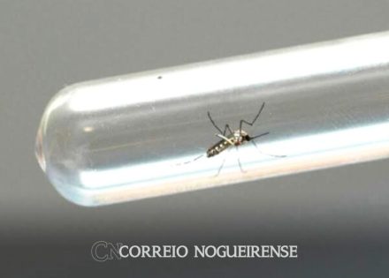 Sem nome (1140 x 815 px)_20250225_143905_0000