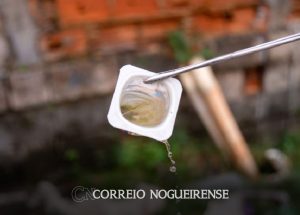 brinquedos-bandeja-da-geladeira-e-mais-veja-locais-da-sua-casa-que-podem-ser-criadouros-do-aedes-correio-nogueirense