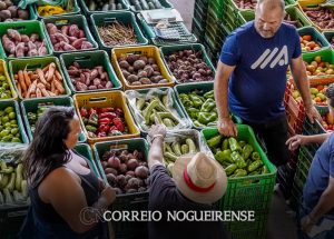 inflacao-dos-alimentos-e-explicada-por-menos-oferta-diz-ibge-correio-nogueirense