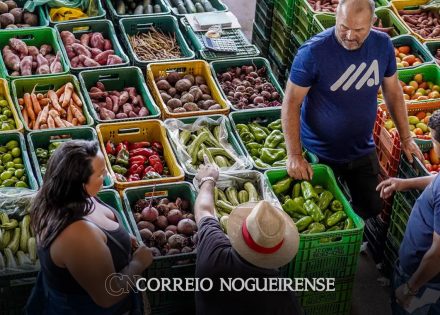 inflacao-dos-alimentos-e-explicada-por-menos-oferta-diz-ibge-correio-nogueirense