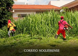 proprietarios-de-lotes-recebem-notificacao-para-limpeza-dos-terrenos-em-artur-nogueira-correio-nogueirense