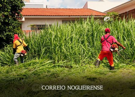 proprietarios-de-lotes-recebem-notificacao-para-limpeza-dos-terrenos-em-artur-nogueira-correio-nogueirense