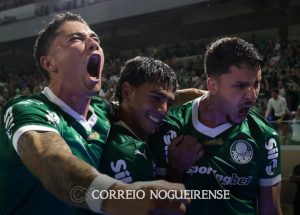 Sem nome (1140 x 815 px)_20250412_211930_0000