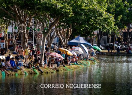 Sem nome (1140 x 815 px)_20250416_123255_0000