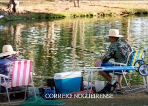 Sem nome (1140 x 815 px)_20250423_094204_0000