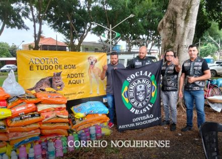 Sem nome (1140 x 815 px)_20250428_134746_0000