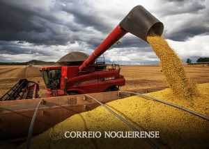 apos-primeiras-colheitas-conab-confirma-estimativa-de-safra-recorde-correio-nogueirense