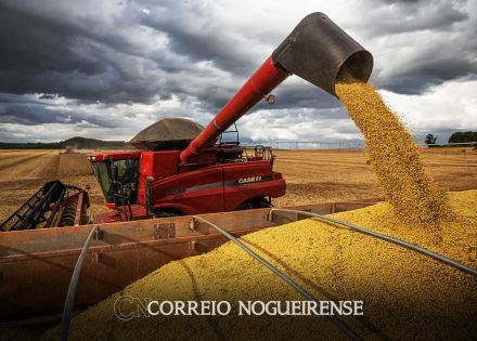 apos-primeiras-colheitas-conab-confirma-estimativa-de-safra-recorde-correio-nogueirense