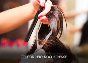 brasil-bate-recorde-na-abertura-de-pequenos-negocios-no-1o-trimestre-correio-nogueirense