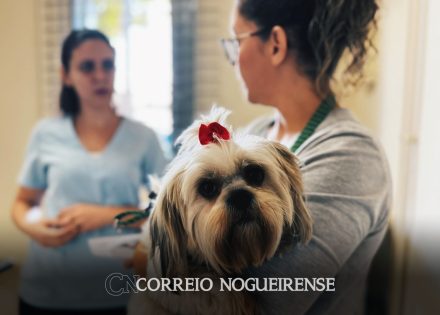 1a-feira-pet-de-artur-nogueira-abre-semana-do-meio-ambiente-neste-domingo