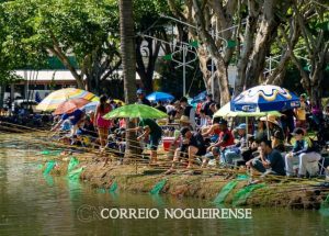 Sem nome (1140 x 815 px)_20250501_202355_0000