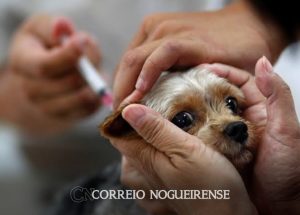 Sem nome (1140 x 815 px)_20250505_194900_0000