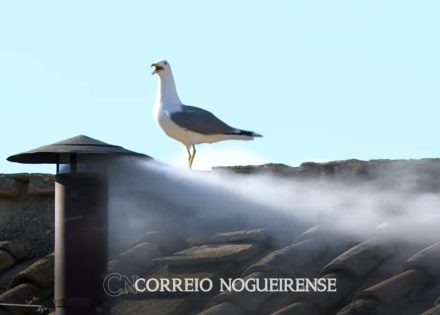 Sem nome (1140 x 815 px)_20250508_135920_0000