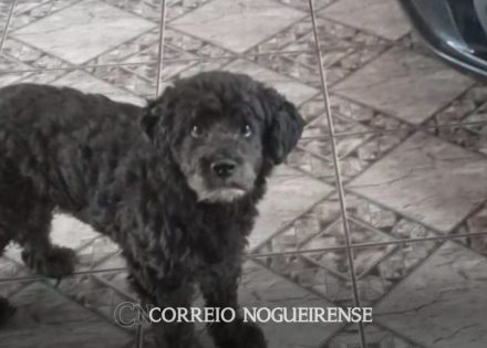 Sem nome (1140 x 815 px)_20250514_150714_0000