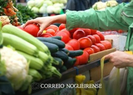 Sem nome (1140 x 815 px)_20250515_083406_0000