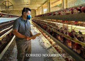 Sem nome (1140 x 815 px)_20250520_180312_0000