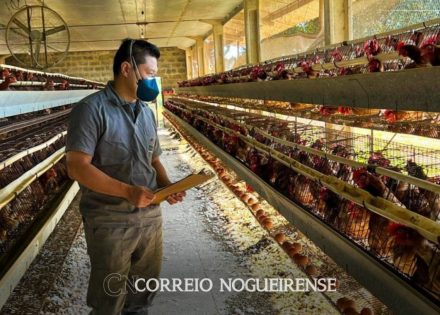 Sem nome (1140 x 815 px)_20250520_180312_0000