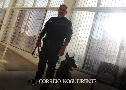 apresentacoes-dos-canis-de-artur-nogueira-e-monte-mor-serao-destaque-na-1a-feira-pet-correio-nogueirense