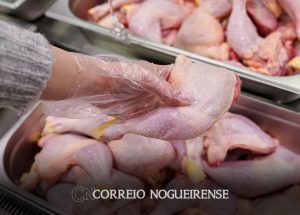 gripe-aviaria-nao-deve-impactar-preco-da-carne-de-frango-diz-ministro-correio-nogueirense