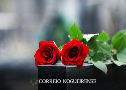ir-2025-como-fica-declaracao-de-pessoa-falecida-correio-nogueirense