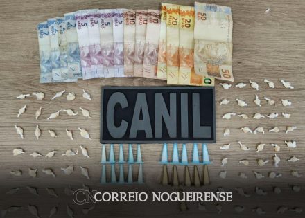 mulher-e-adolescente-sao-detidos-com-drogas-em-artur-nogueira-correio-nogueirense