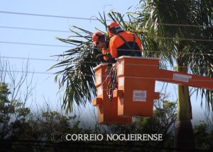 rede-eletrica-teve-685-acidentes-em-2024-menor-numero-em-oito-anos-correio-nogueirense