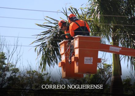 rede-eletrica-teve-685-acidentes-em-2024-menor-numero-em-oito-anos-correio-nogueirense